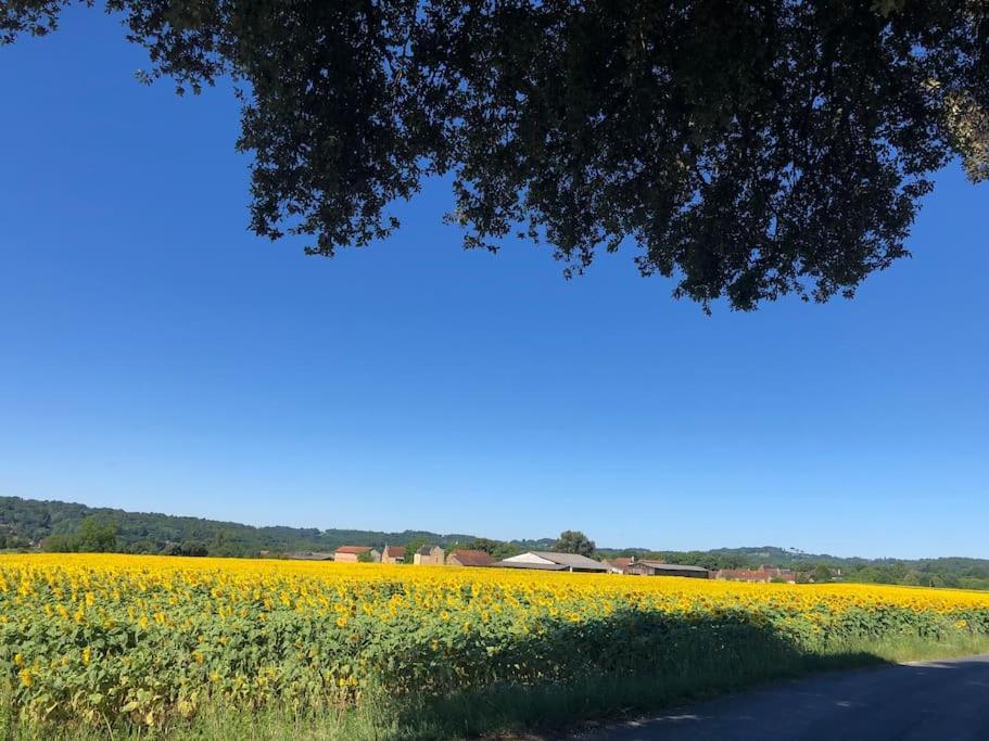 Le Bon Chemin Ateliers Lägenhet Sainte-Nathalène Exteriör bild